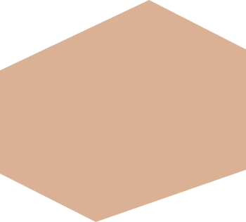 Vector 2