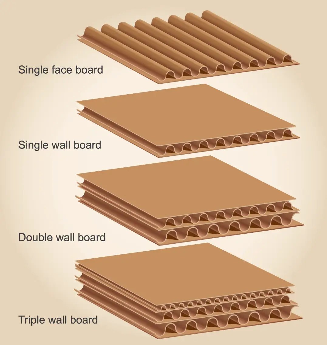 Board-Grade-Info_Vector