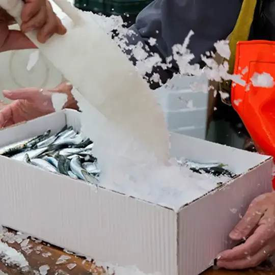 wax boxes
